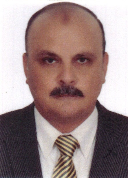ا/ عادل الشنواني
