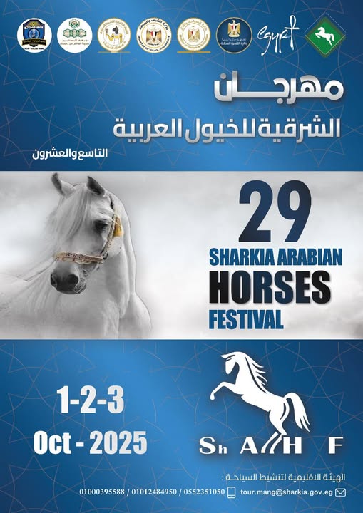 العاشر من رمضان تحتضن مهرجان الشرقية للخيول العربية